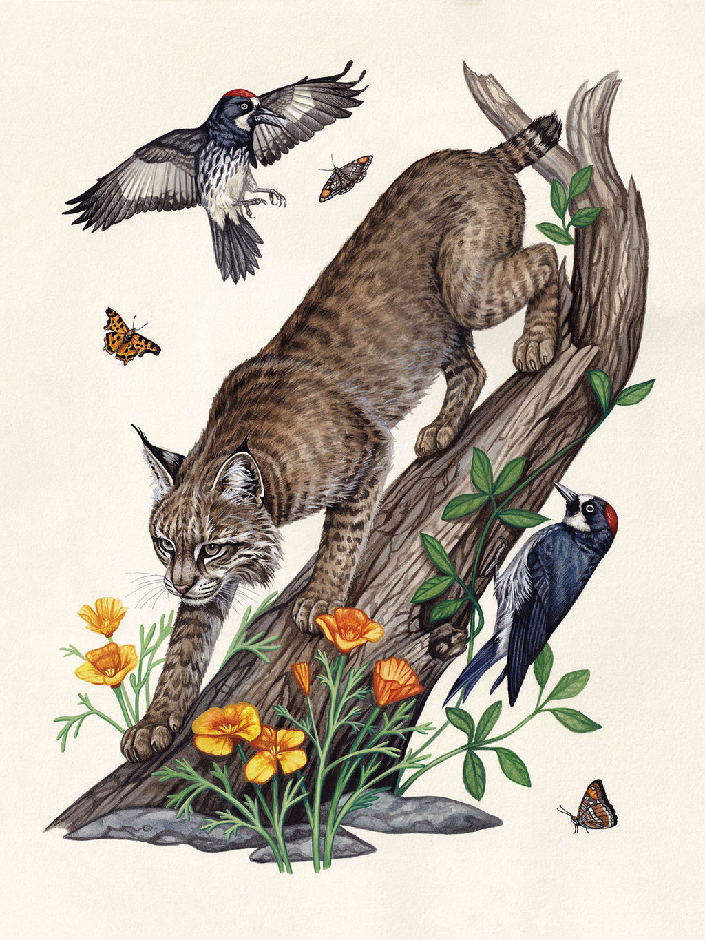 Lauren Richelieu - “Neighborhood watch”&nbsp;