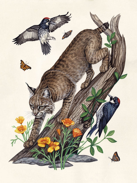 Lauren Richelieu - “Neighborhood watch”&nbsp;