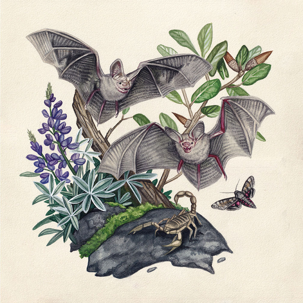Lauren Richelieu - “Night shift”