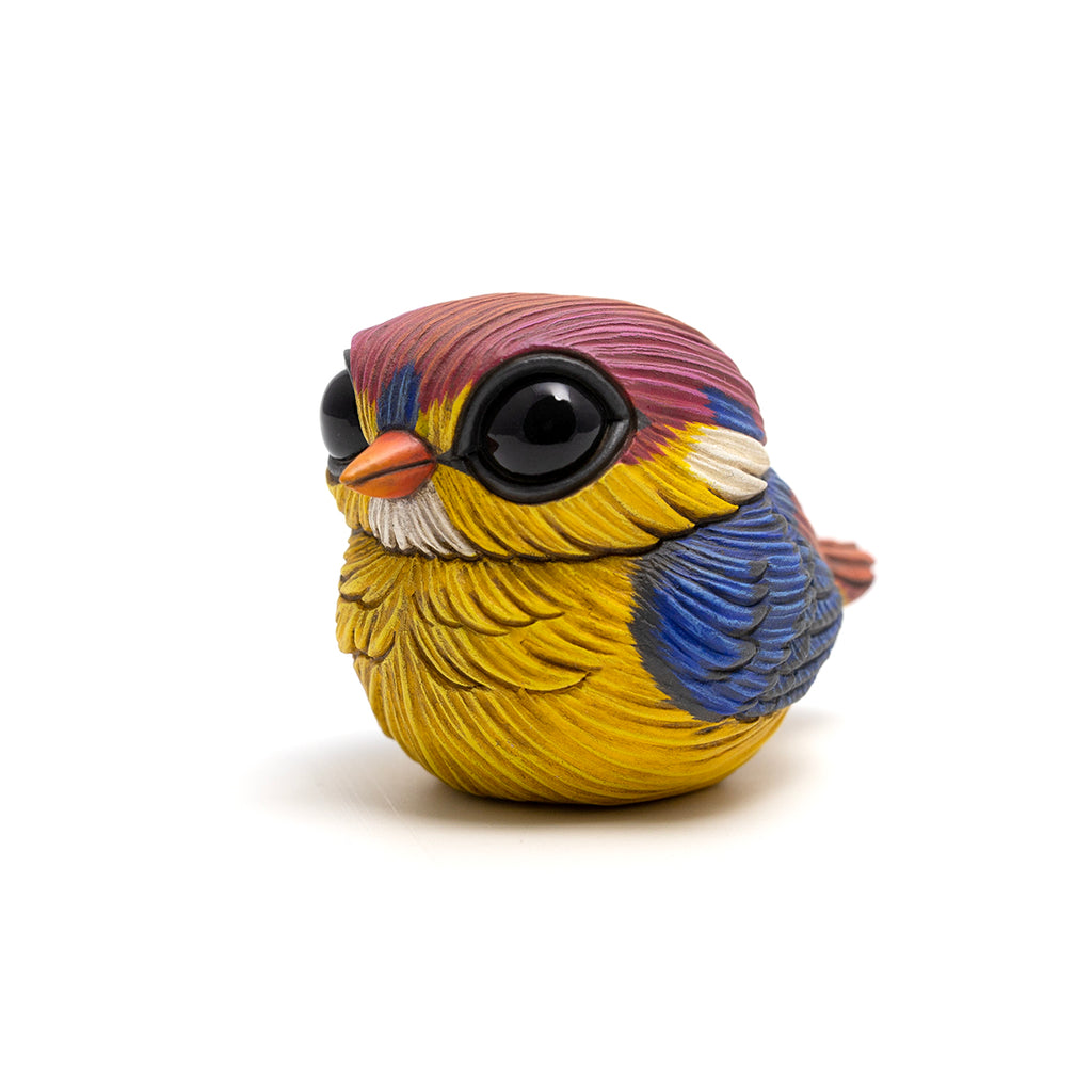 Calvin Ma - Chubby Bird: Oriental Dwarf Kingfisher