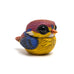 Calvin Ma - Chubby Bird: Oriental Dwarf Kingfisher