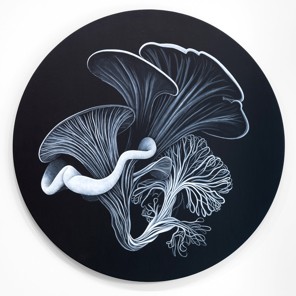 Jeff Sheridan - Mycelia Evocation