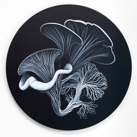 Jeff Sheridan - Mycelia Evocation