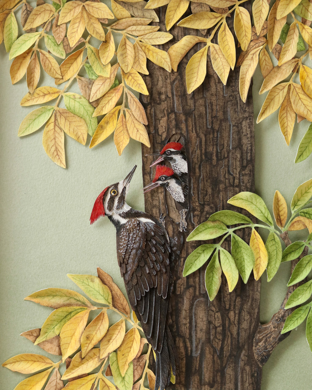 Nayan & Venus - PILEATED WOODPECKER IN HICKORY CANOPY
