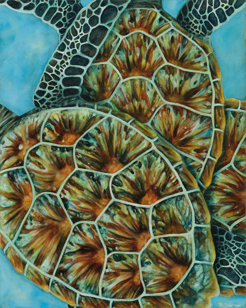 Rachel Sabin - Green Turtle and the Kaleidoscopic Shell