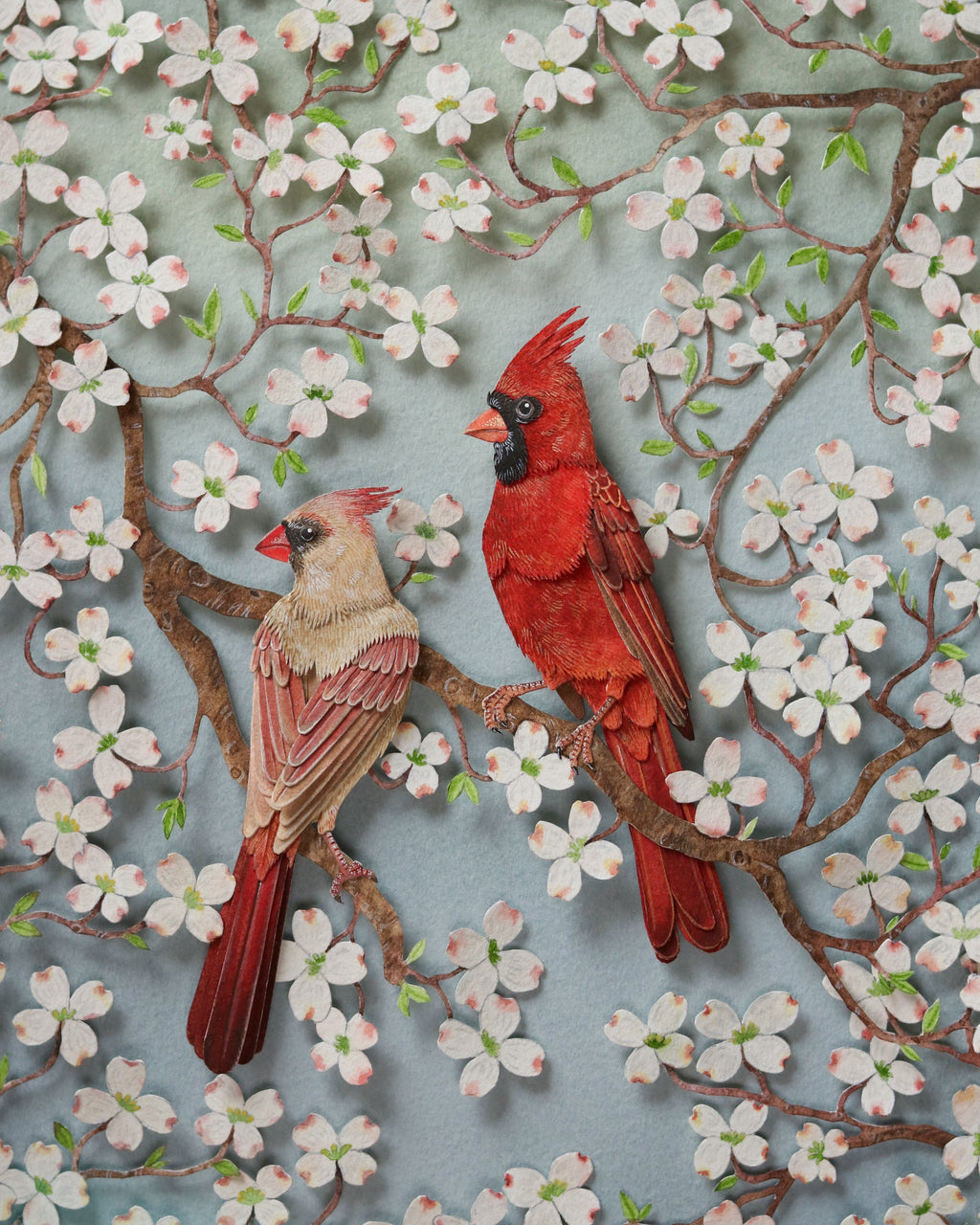 Nayan & Venus - RED CARDINAL IN DOGWOOD CANOPY