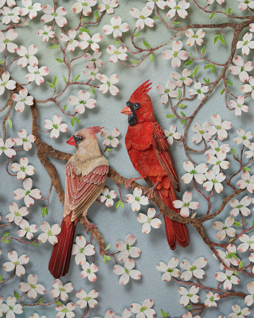 Nayan & Venus - RED CARDINAL IN DOGWOOD CANOPY