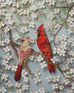 Nayan & Venus - RED CARDINAL IN DOGWOOD CANOPY