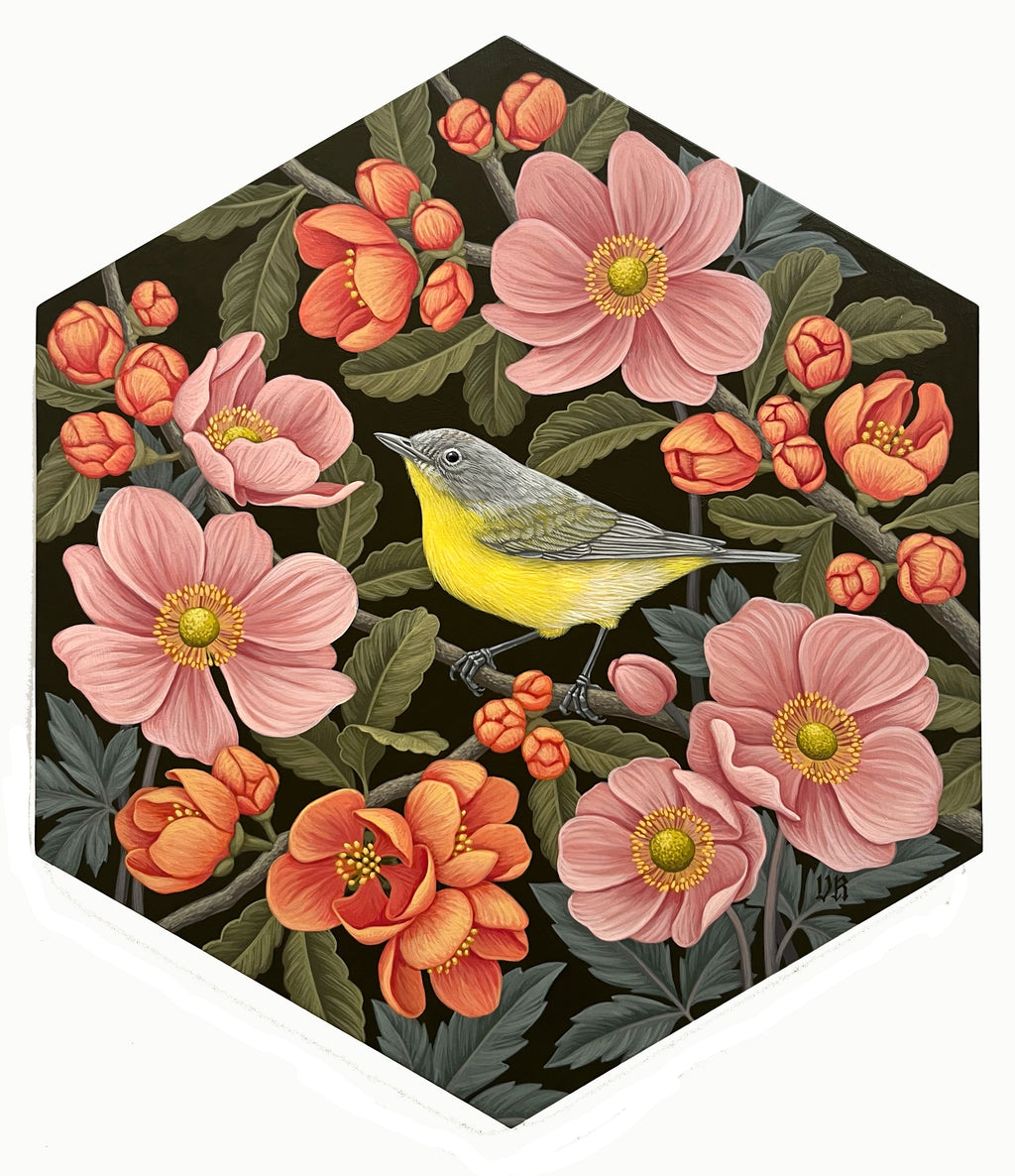 Vasilisa Romanenko - Nashville Warbler