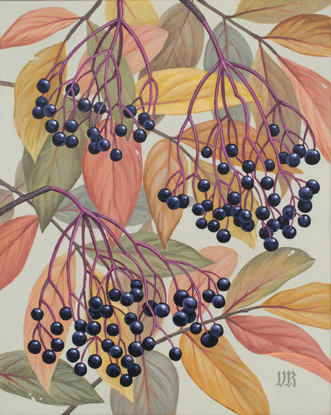 Vaslisa Romanenko - Elderberries