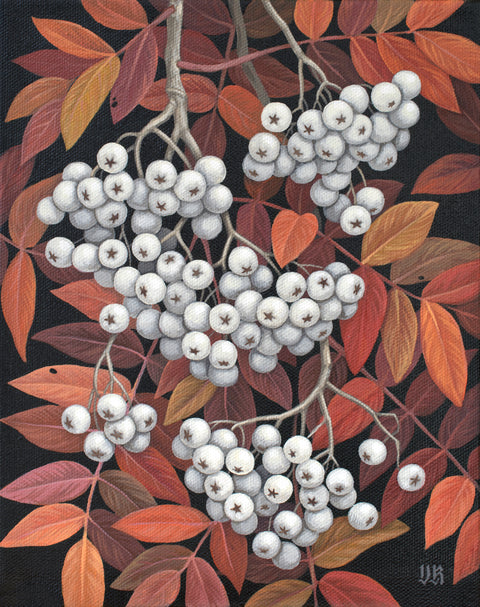 Vasilisa Romanenko - Rowan Berries