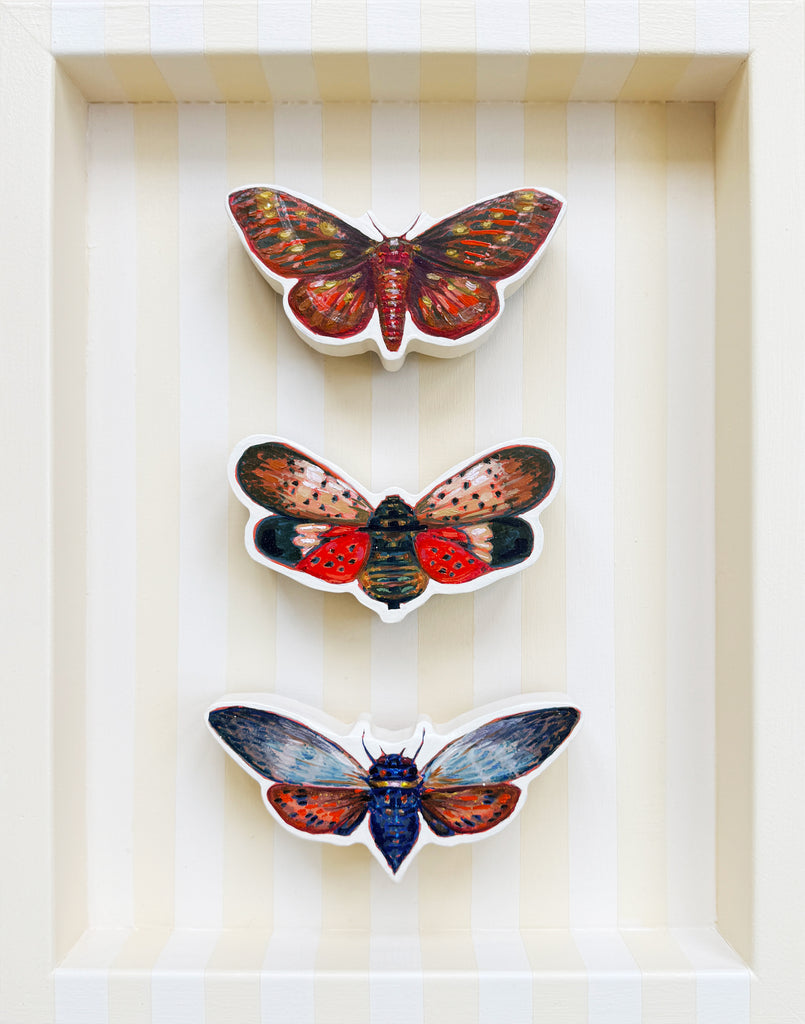 Emily Furr - Saturn Moth, Butterfly Cicada &amp; Lantern Fly