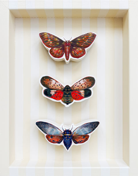 Emily Furr - Saturn Moth, Butterfly Cicada &amp; Lantern Fly