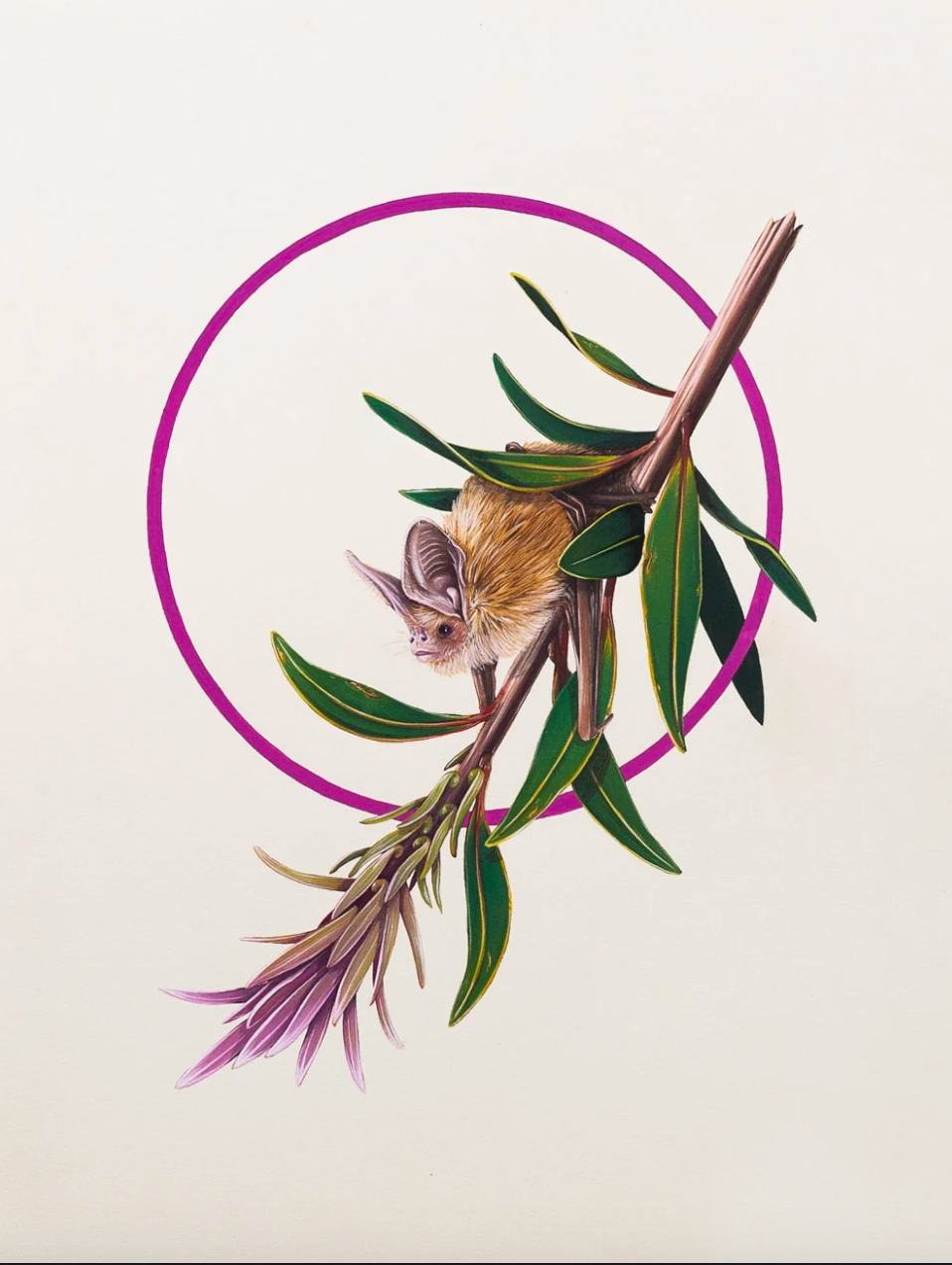 Raffle Entry: Thomas Jackson - ‘Micro Bat’, Sydney Park, Australia