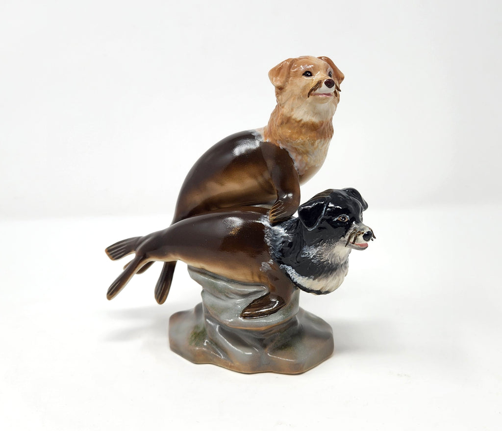 Debra Broz - Seal Pups