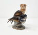 Debra Broz - Seal Pups
