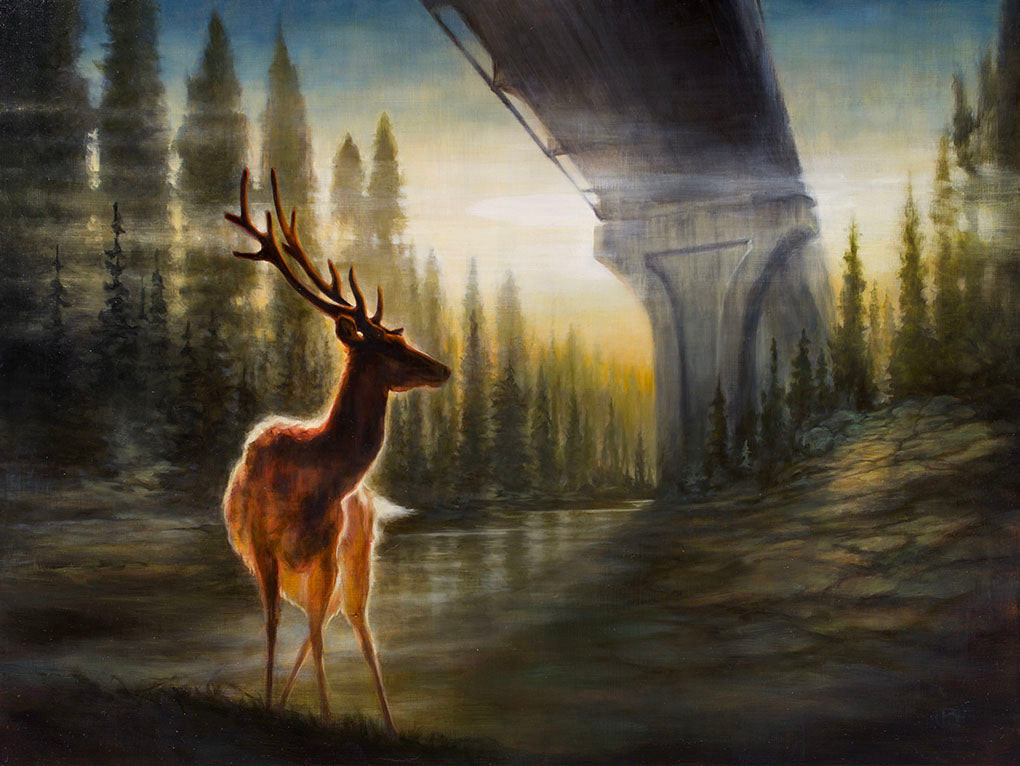 Brin Levinson - Shadow in the Pines