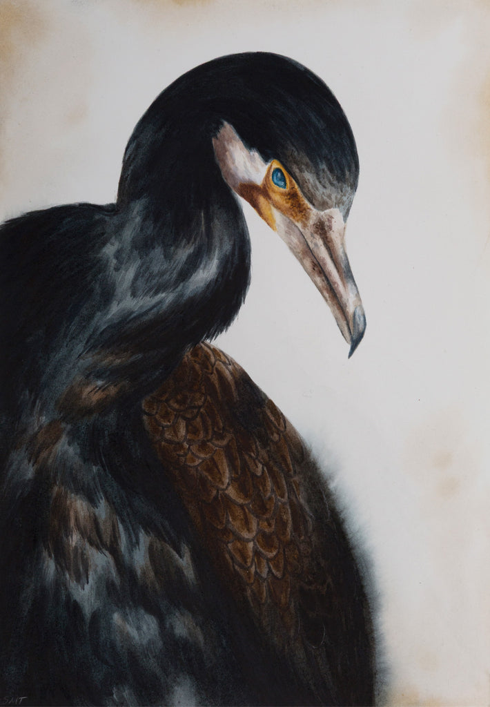 Sophie McVicar - Silent, Still, Cruciform, Brooding