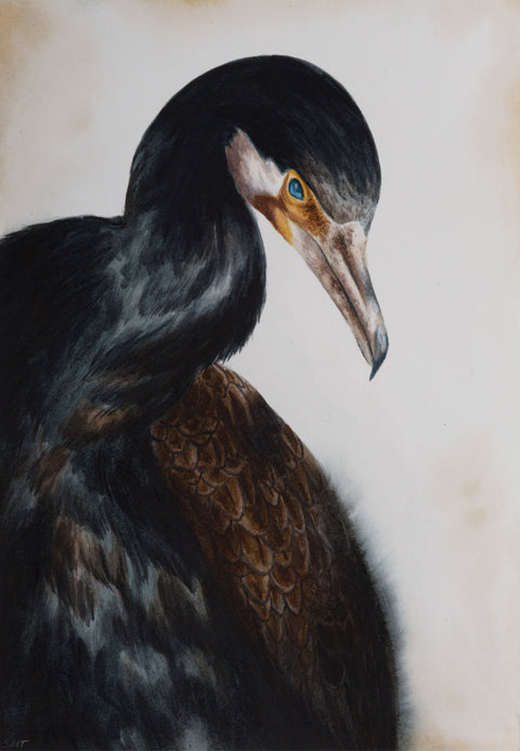 Sophie McVicar - Silent, Still, Cruciform, Brooding