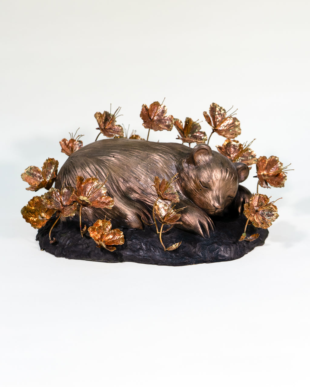 Amy Sol & Ross Takahashi: Field of Primrose Dreams