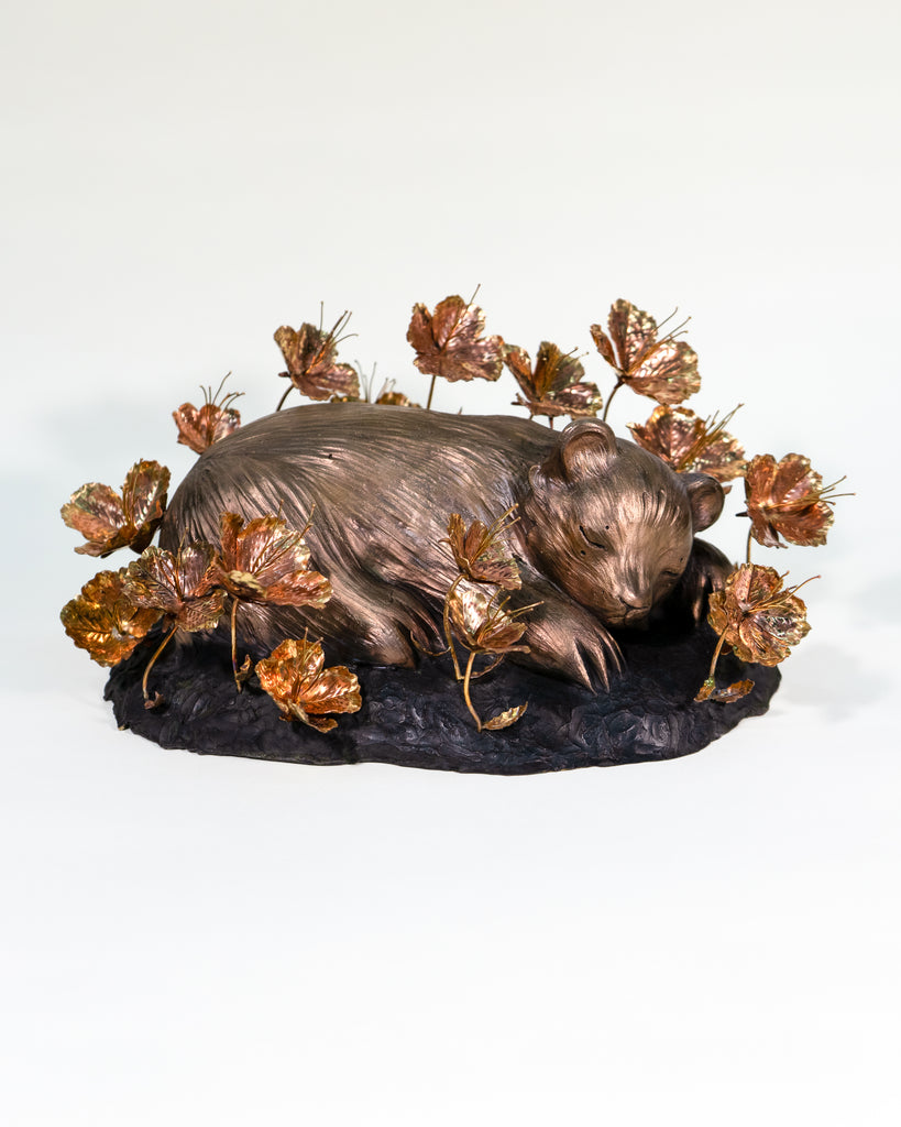 Amy Sol & Ross Takahashi: Field of Primrose Dreams