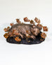 Amy Sol & Ross Takahashi: Field of Primrose Dreams