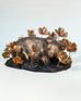 Amy Sol & Ross Takahashi: Field of Primrose Dreams