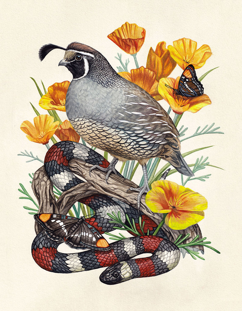 Lauren Richelieu - “Spring social”