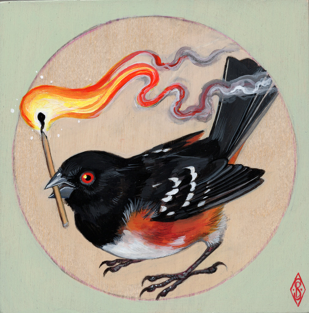 Stephanie Brown - Spotted Towhee Torchbearer