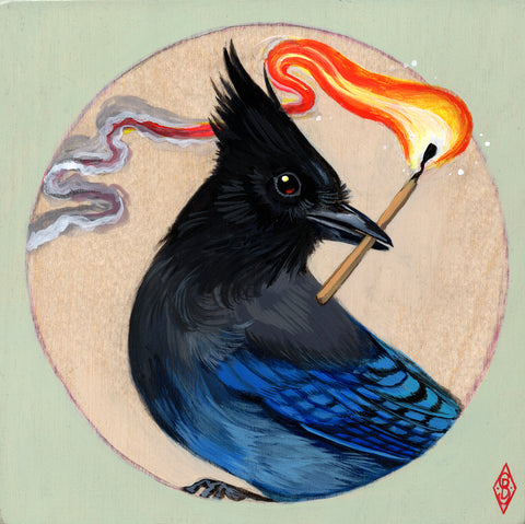 Stephanie Brown - Steller's Jay Torchbearer