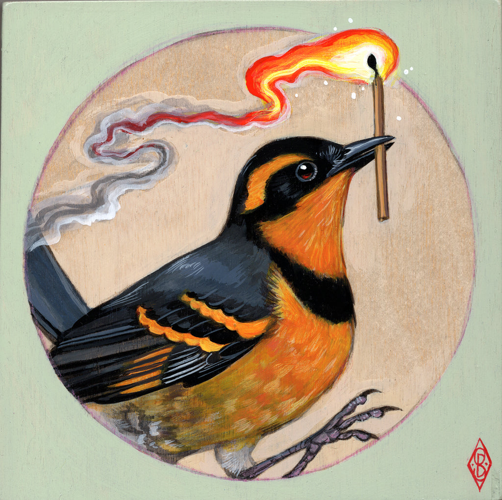 Stephanie Brown - Varied Thrush Torchbearer