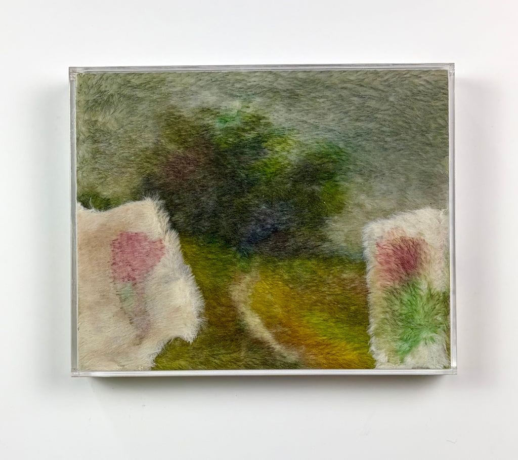 Rachel Warkentin - Tall Poppy