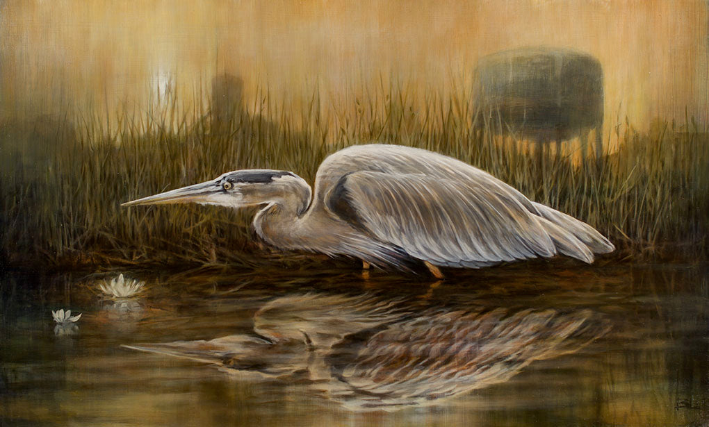 Brin Levinson - The Swamp Lights