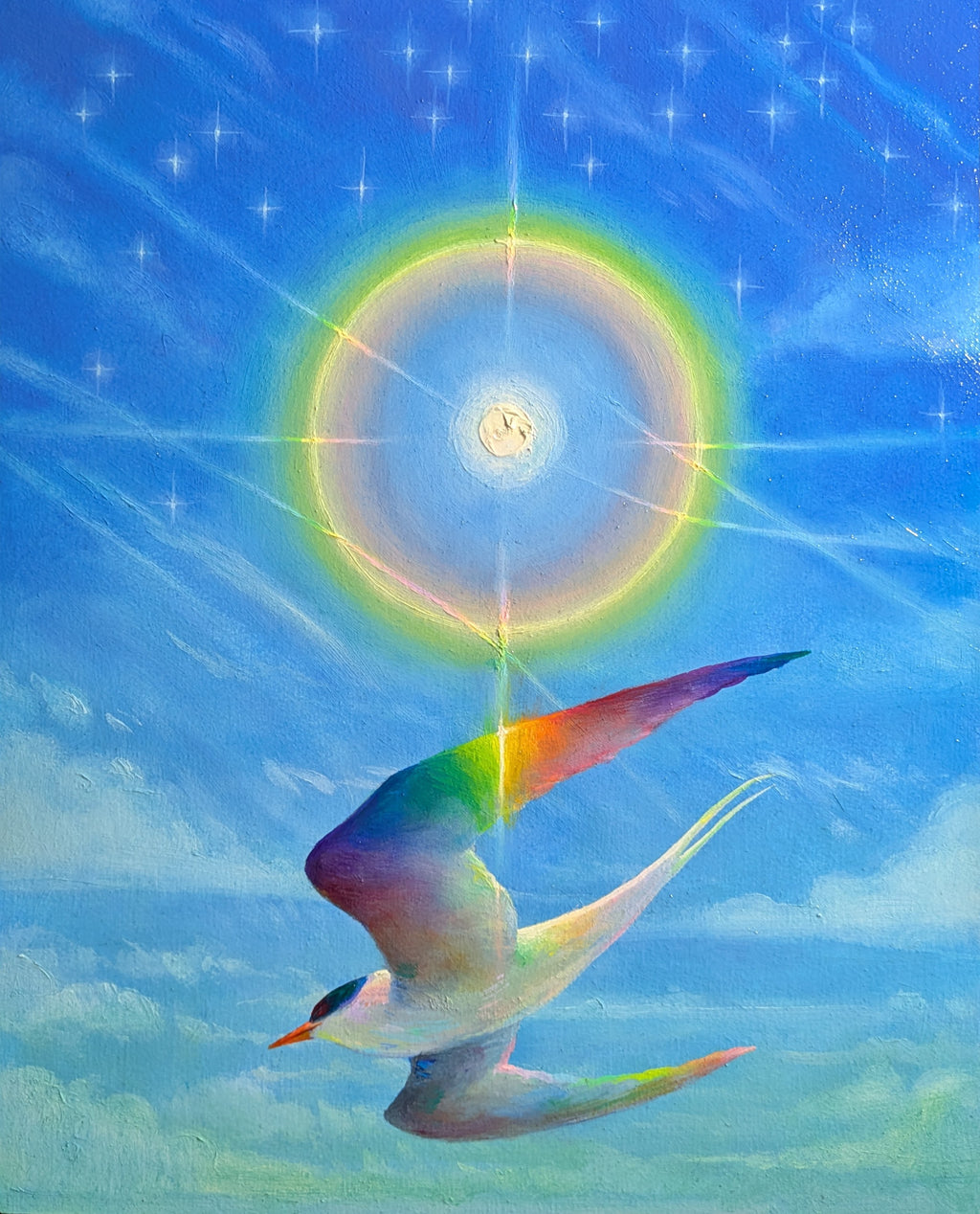 VR Rivera - The Tern