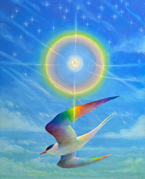 VR Rivera - The Tern