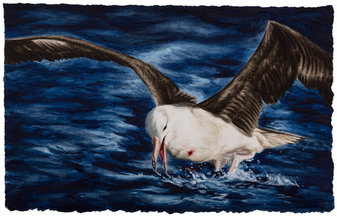 Sophie McVicar - Through the Fog it Came