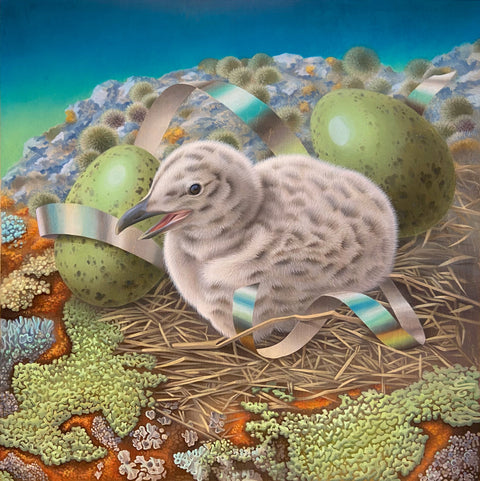 Elise Toublanc - Silvered Gull Chick