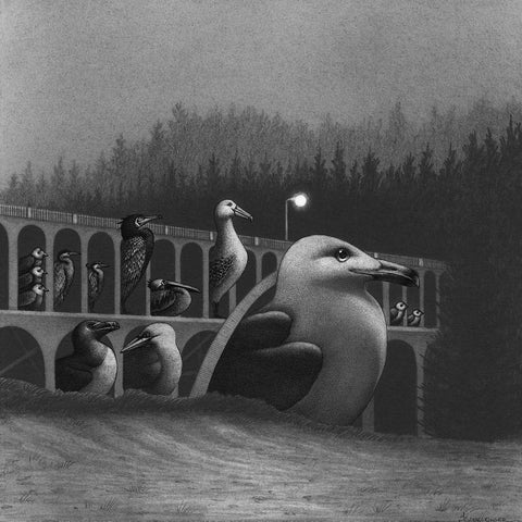 Juliet Schreckinger - Where The Seabirds Sleep