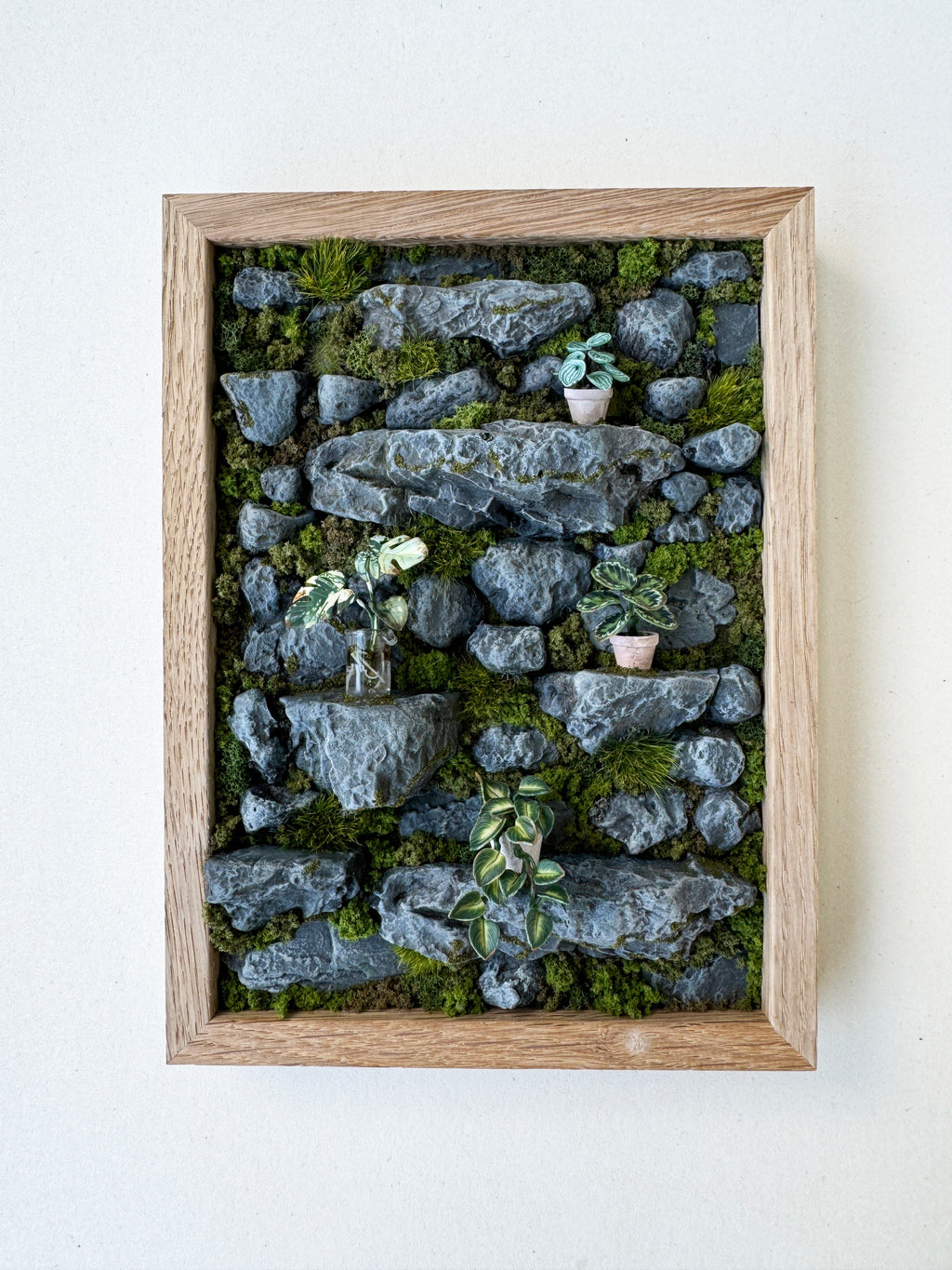 Astrid Wilk - Habitat – Moss & Monstera
