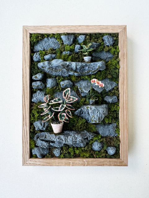 Astrid Wilk - Habitat – Moss & Orchid