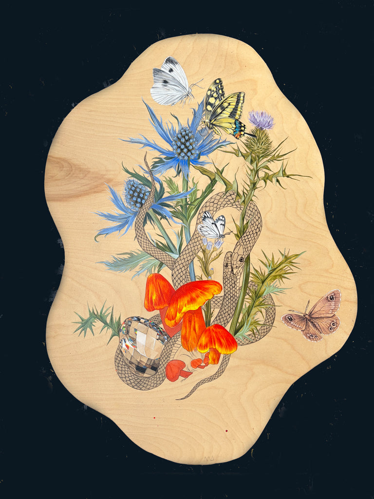 Meg Adamson - "Forest Floor"
