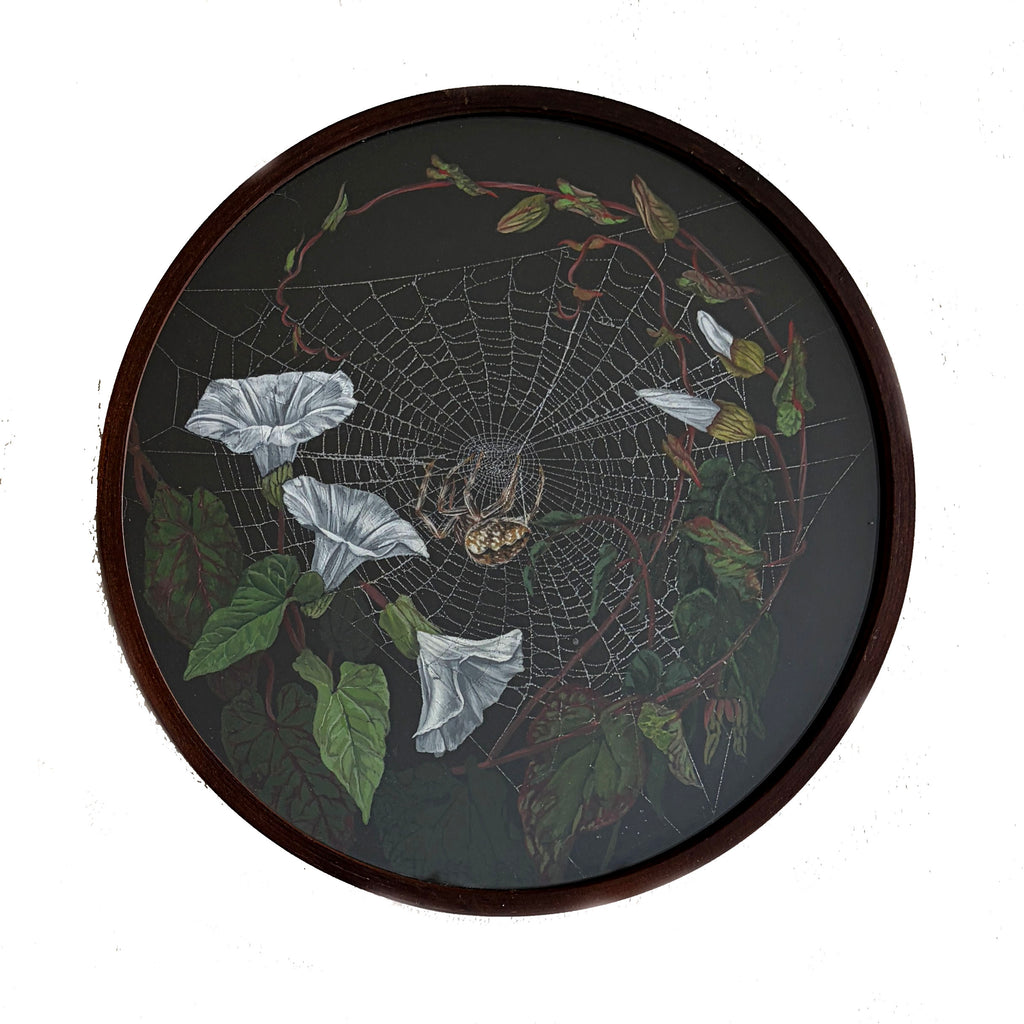 Meg Adamson - "Orb Weaver Moonflower Home"