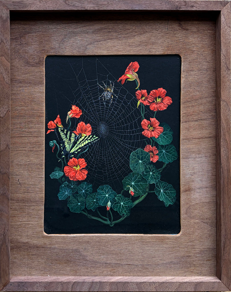 Meg Adamson - "Orb Weaver Poppy Home"