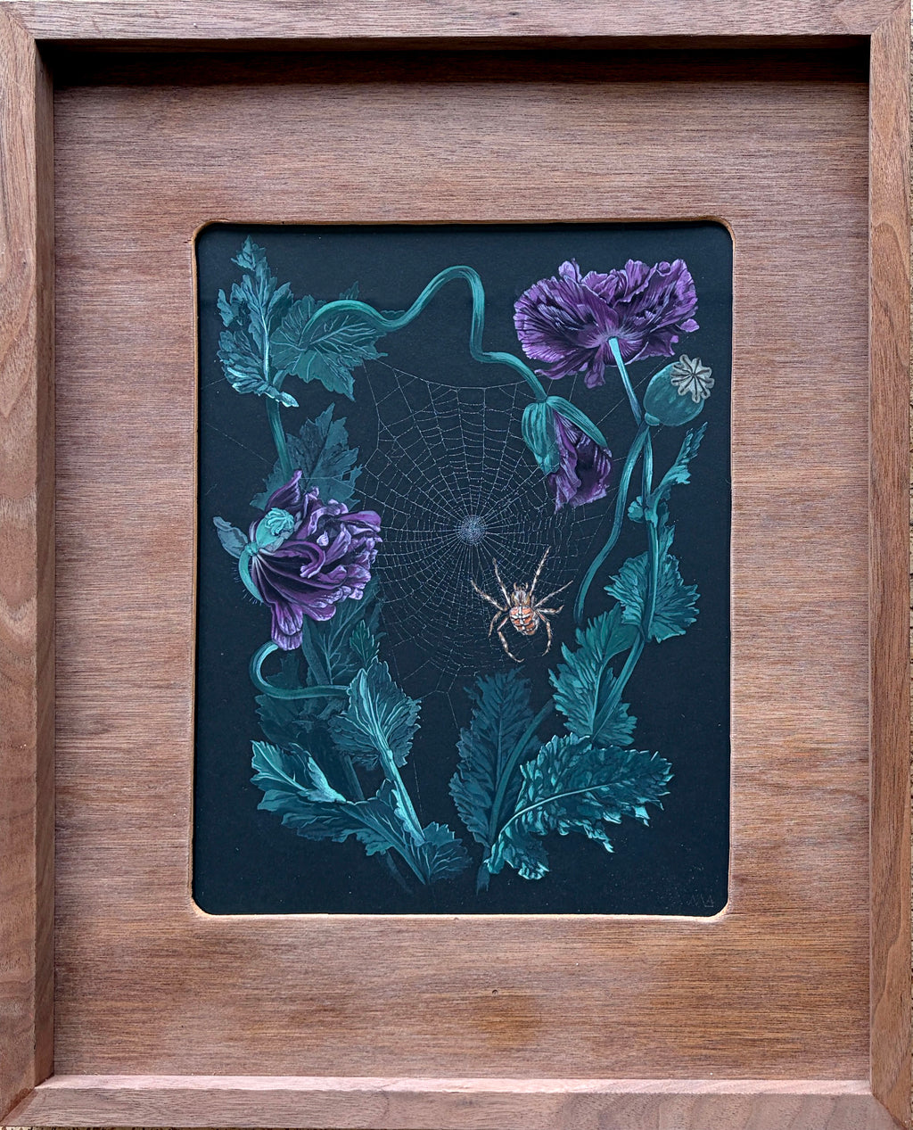 Meg Adamson - "Orb Weaver Nasturtium Home"