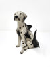 Debra Broz - Dalmatian Dolphin