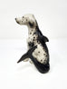 Debra Broz - Dalmatian Dolphin