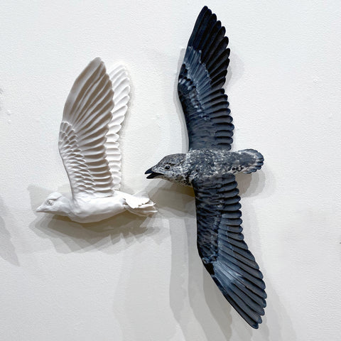 Sarah Conti - Kittlitz’s Murrelet Pair