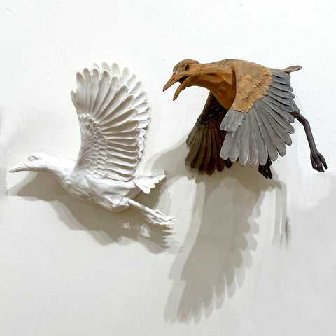 Sarah Conti - Ridgway’s Rail Pair