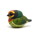 Calvin Ma - Chubby Bird: Coppersmith Barbet