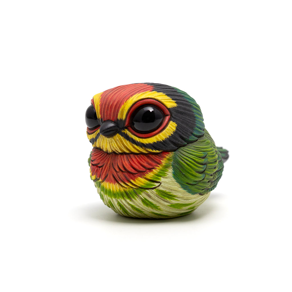 Calvin Ma - Chubby Bird: Coppersmith Barbet